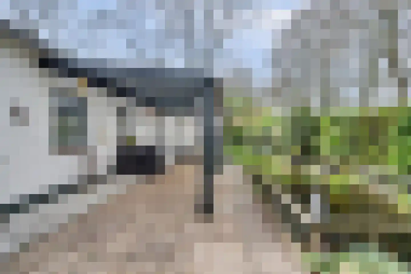 Dennenlaan 17 Putte thumbnail 23