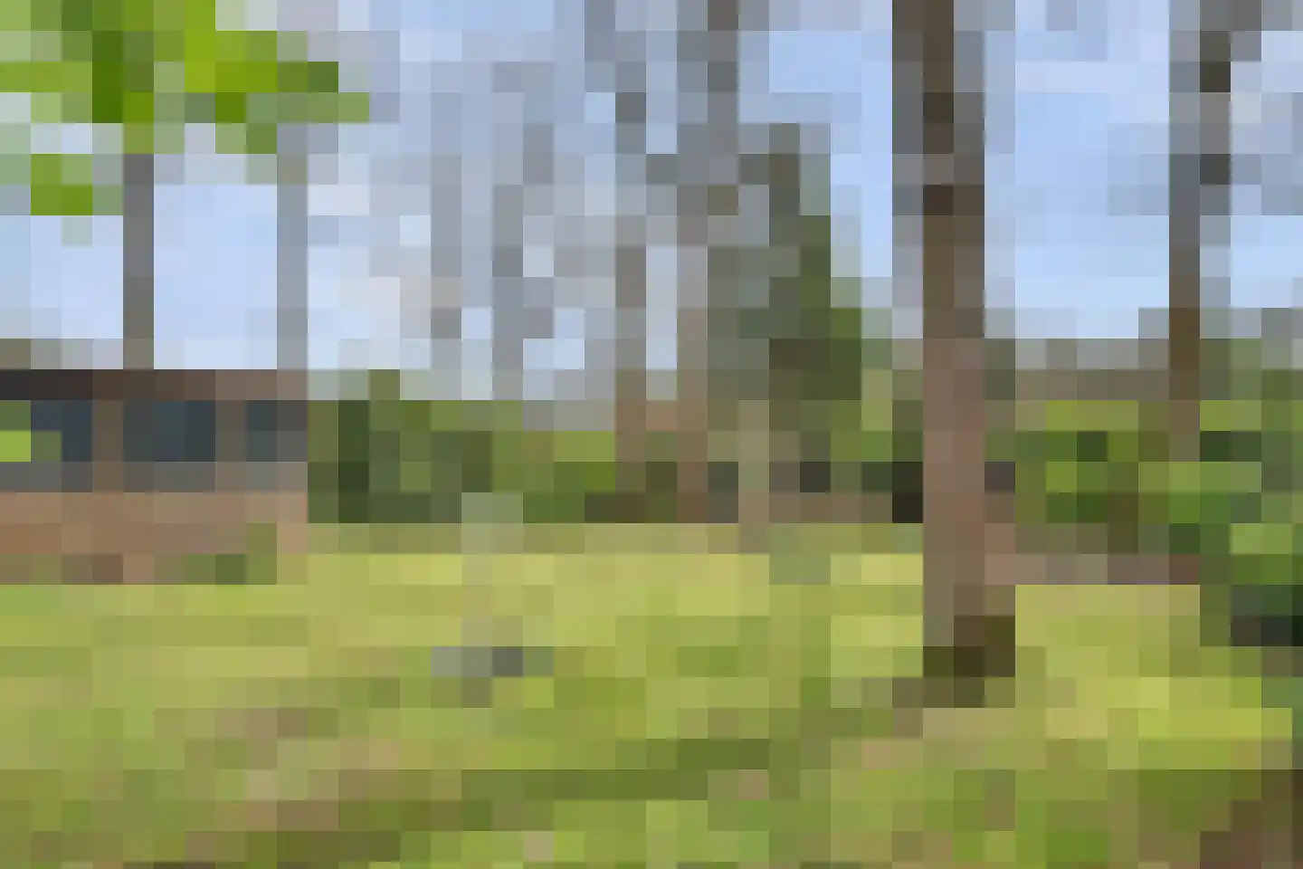 Dennenlaan 17 Putte thumbnail 31