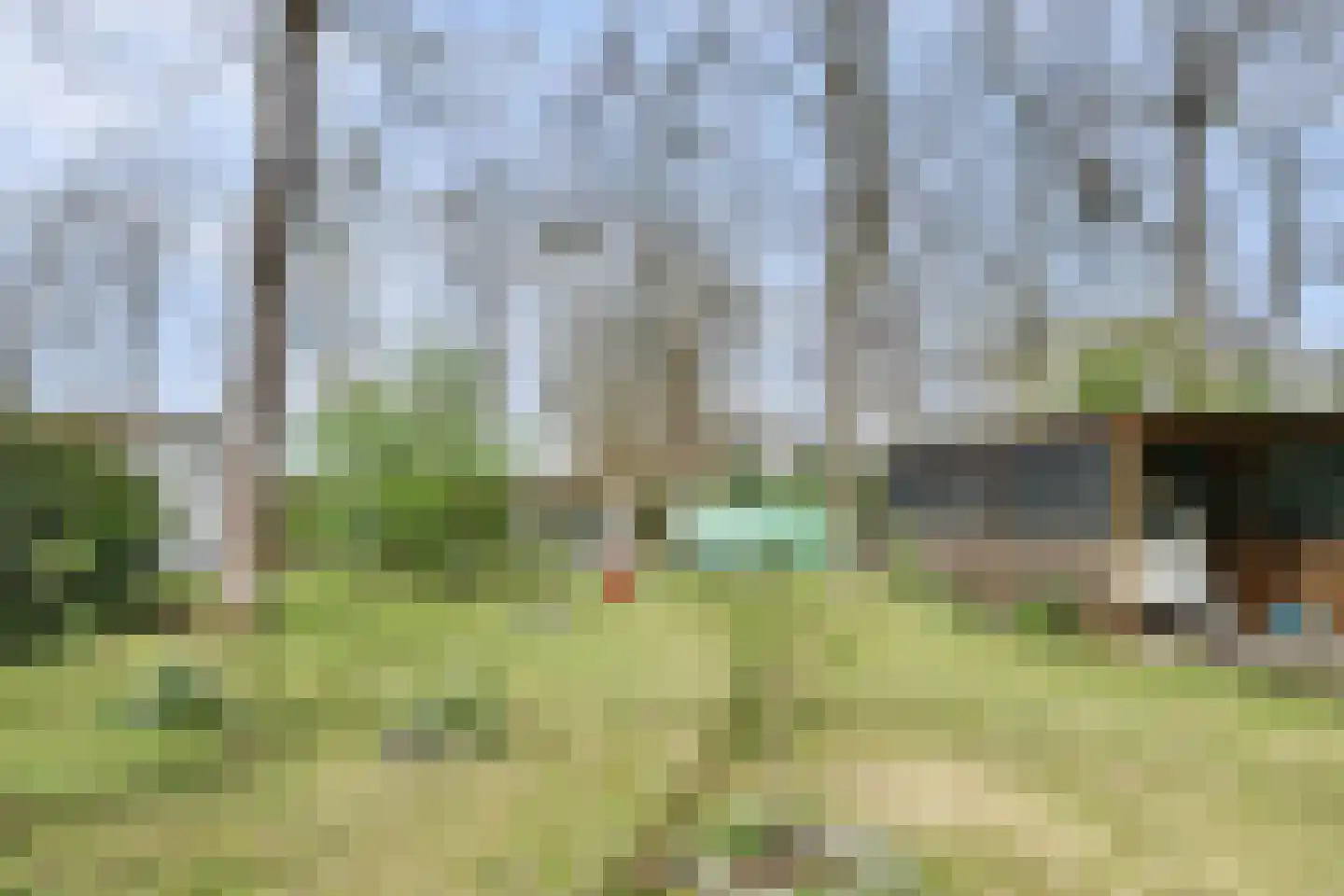Dennenlaan 17 Putte thumbnail 32