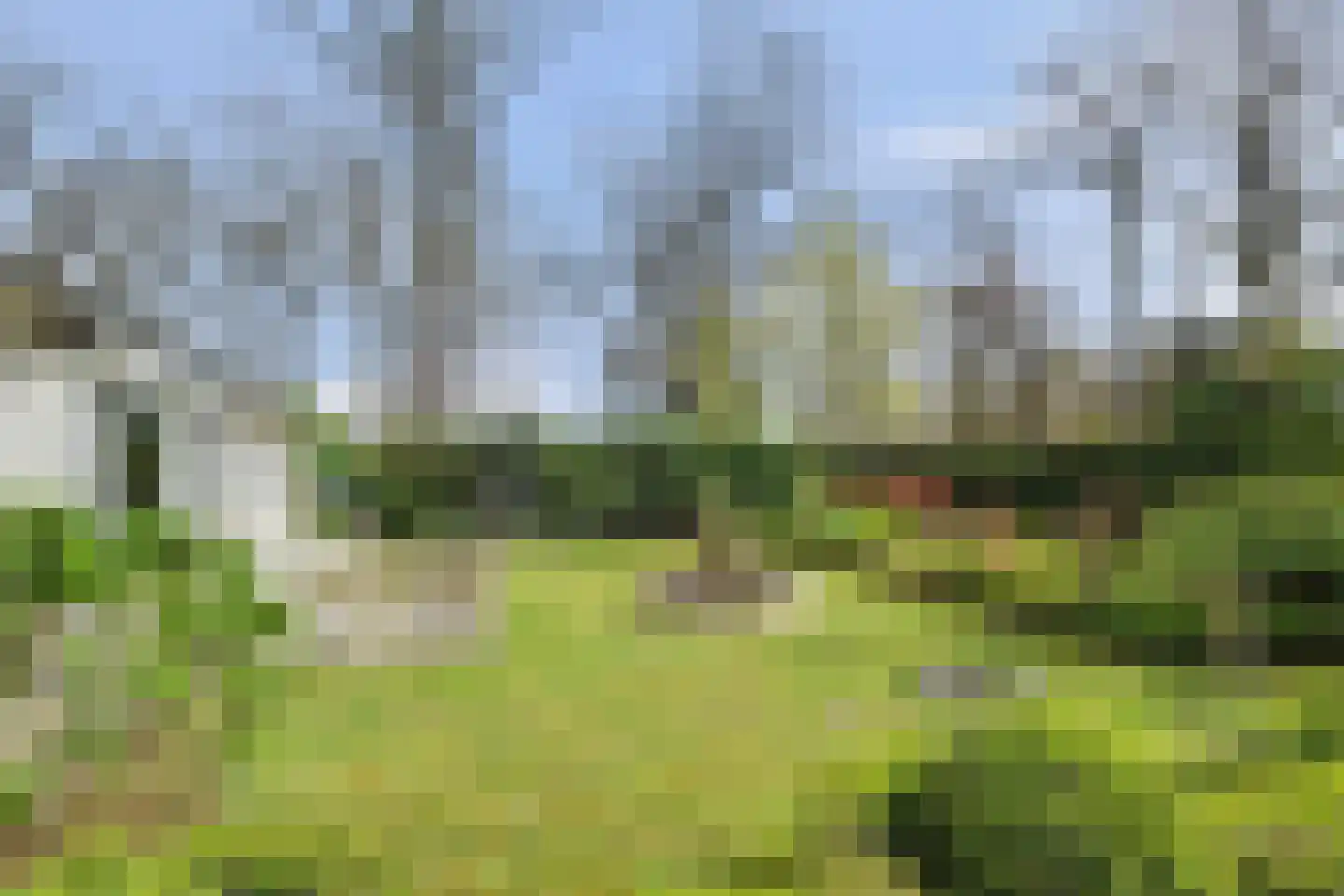 Dennenlaan 17 Putte thumbnail 35