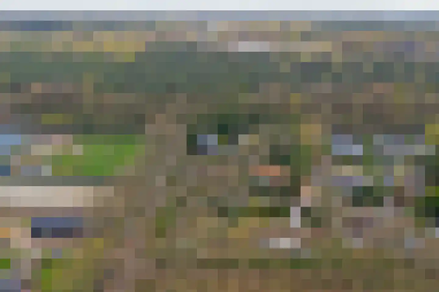 Dennenlaan 17 Putte thumbnail 37