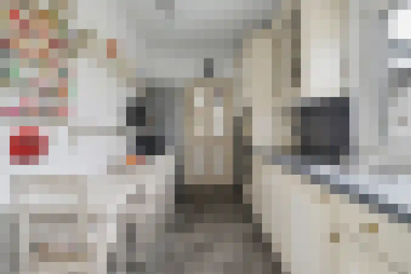 Dennenlaan 17 Putte thumbnail 4