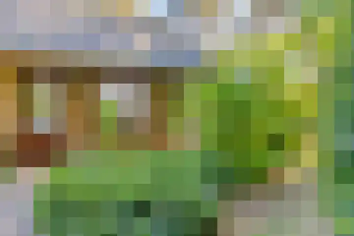Dennenlaan 2 Zeegse thumbnail 10