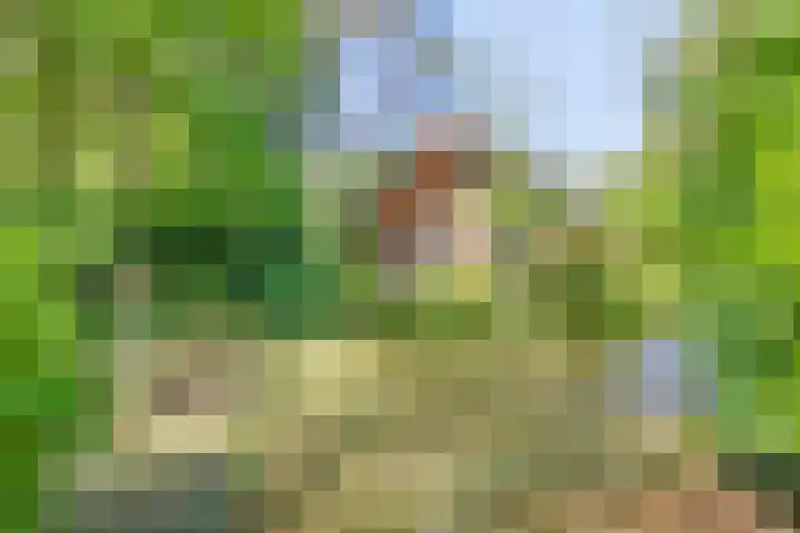 Dennenlaan 2 Zeegse thumbnail 11