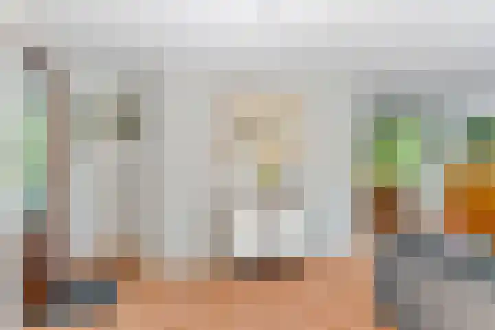 Dennenlaan 2 Zeegse thumbnail 12