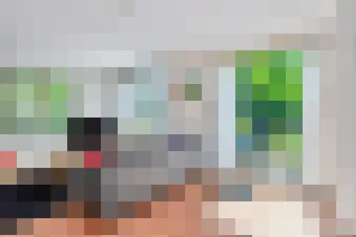 Dennenlaan 2 Zeegse thumbnail 13
