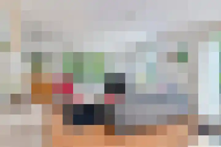 Dennenlaan 2 Zeegse thumbnail 14