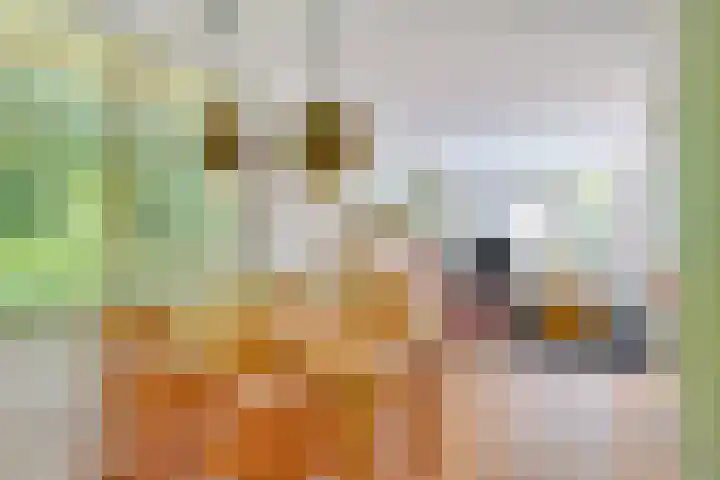 Dennenlaan 2 Zeegse thumbnail 19
