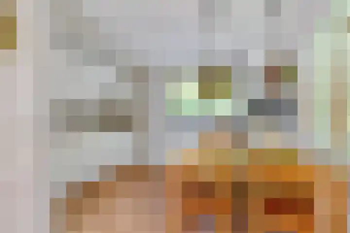 Dennenlaan 2 Zeegse thumbnail 20