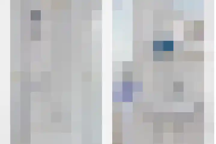 Dennenlaan 2 Zeegse thumbnail 25