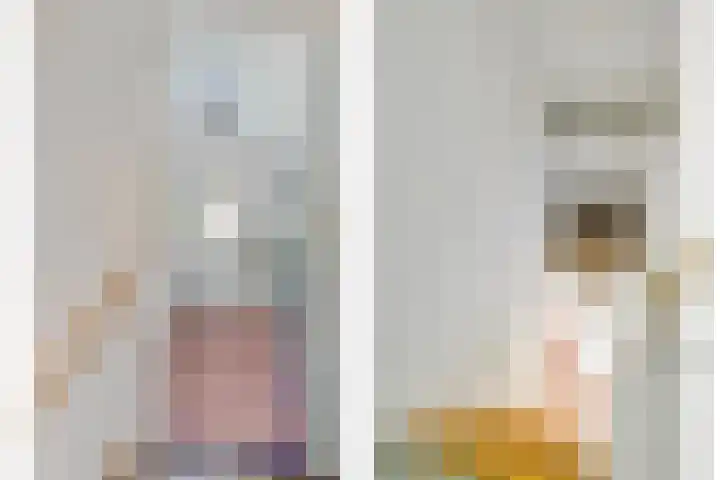 Dennenlaan 2 Zeegse thumbnail 27