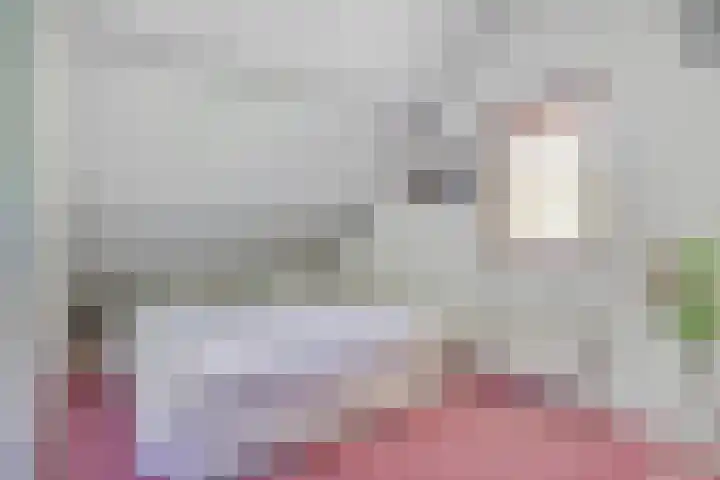 Dennenlaan 2 Zeegse thumbnail 29