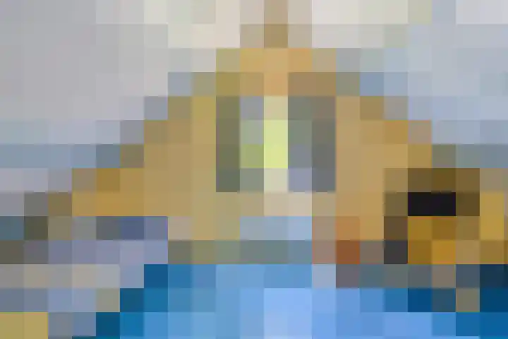 Dennenlaan 2 Zeegse thumbnail 30