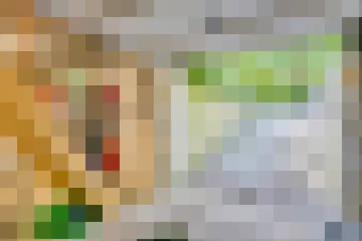 Dennenlaan 2 Zeegse thumbnail 34