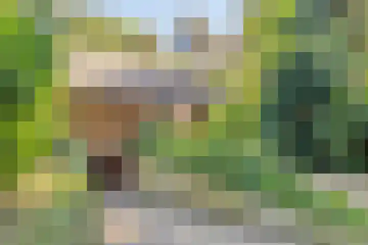 Dennenlaan 2 Zeegse thumbnail 35