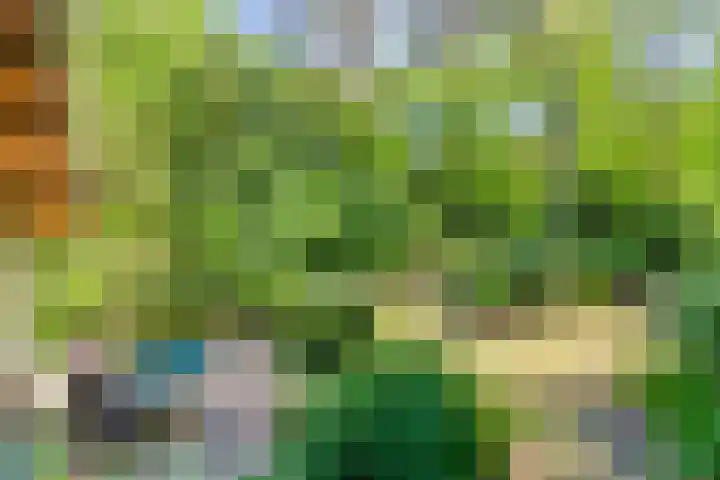 Dennenlaan 2 Zeegse thumbnail 37