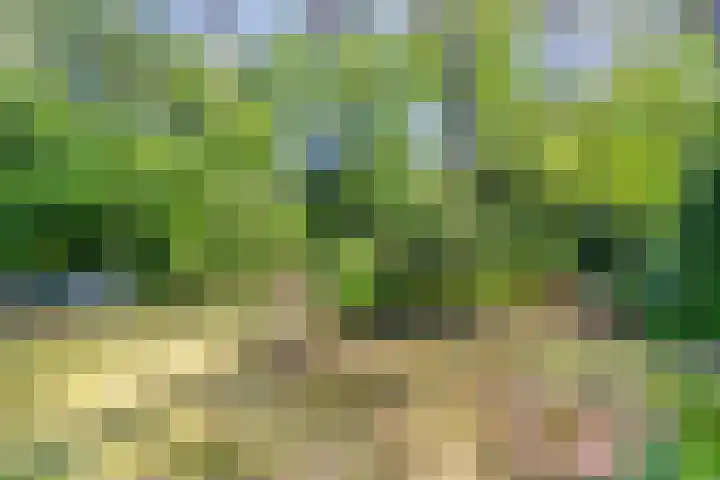 Dennenlaan 2 Zeegse thumbnail 38