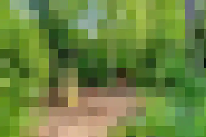 Dennenlaan 2 Zeegse thumbnail 40