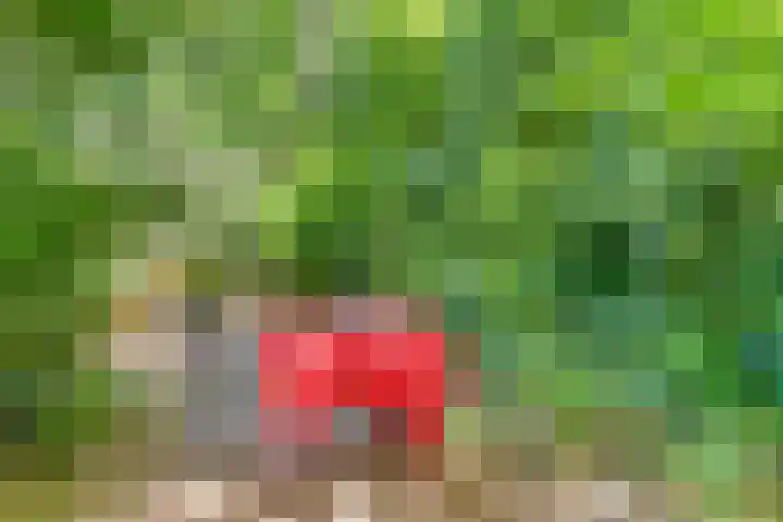 Dennenlaan 2 Zeegse thumbnail 41