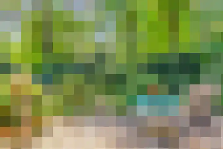 Dennenlaan 2 Zeegse thumbnail 43
