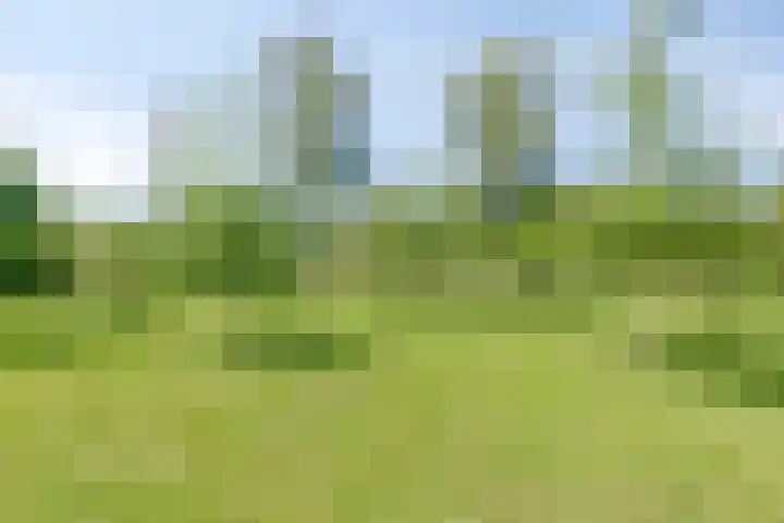 Dennenlaan 2 Zeegse thumbnail 44