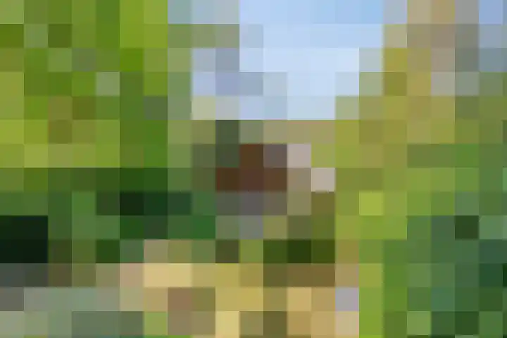 Dennenlaan 2 Zeegse thumbnail 49