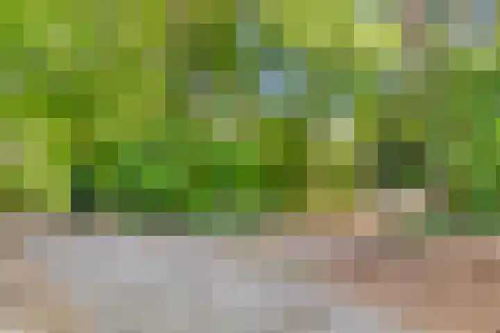 Dennenlaan 2 Zeegse thumbnail 5