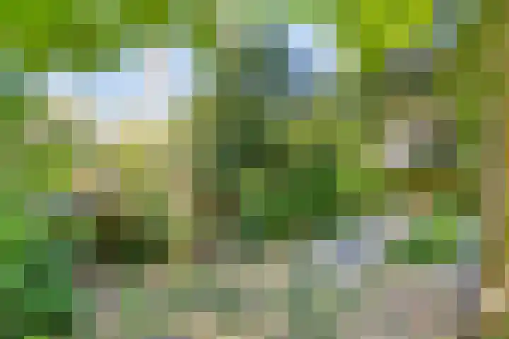 Dennenlaan 2 Zeegse thumbnail 6