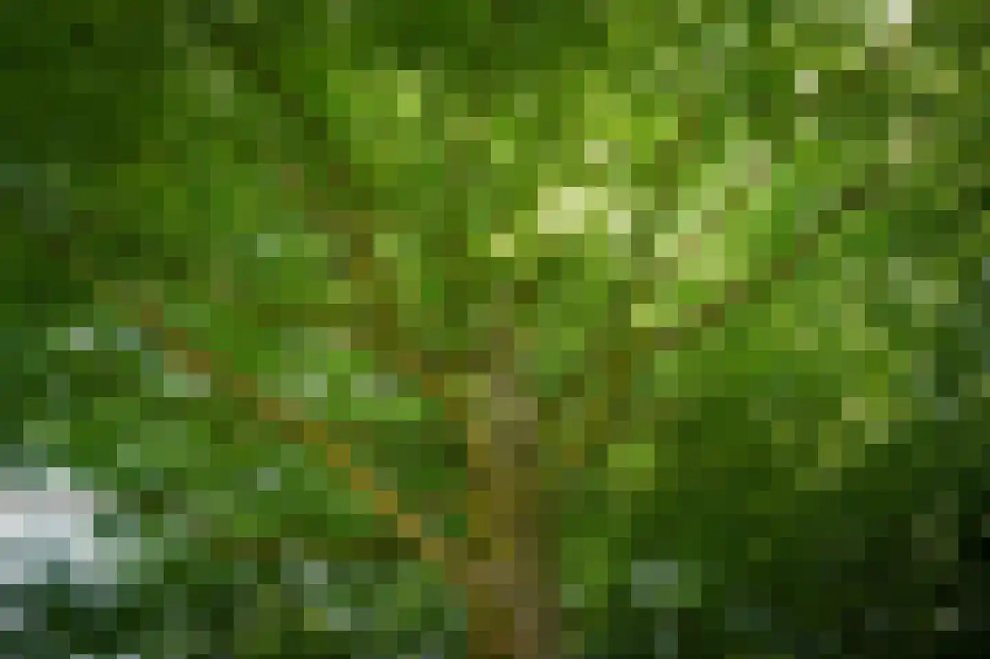 Dennenlaan 3 Vught thumbnail 44