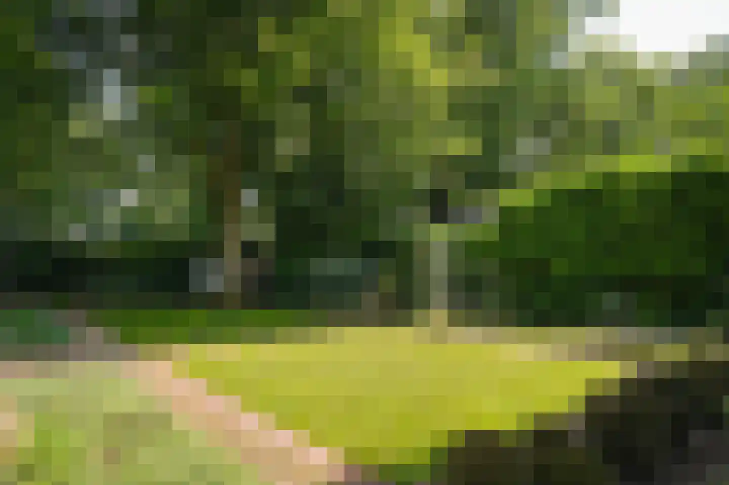 Dennenlaan 3 Vught thumbnail 5