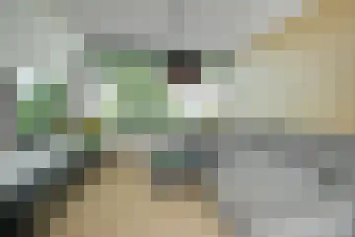 Dennenlaan 38 Dorst thumbnail 15