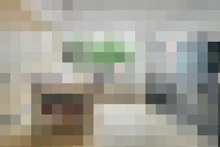 Dennenlaan 38 Dorst thumbnail 18
