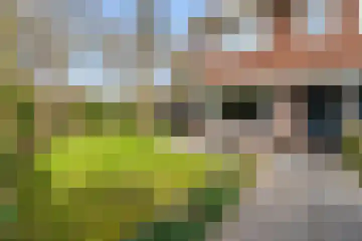 Dennenlaan 38 Dorst foto 2