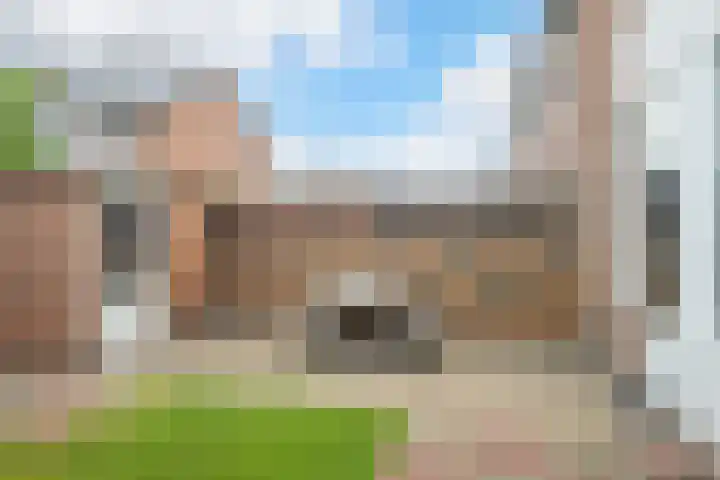 Dennenlaan 38 Dorst thumbnail 43