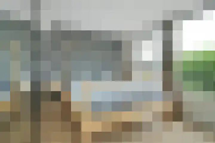 Dennenlaan 38 Dorst thumbnail 5