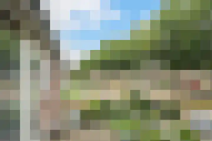 Dennenlaan 38 Dorst thumbnail 7