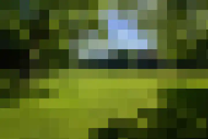 Dennenlaan 38 Dorst thumbnail 8