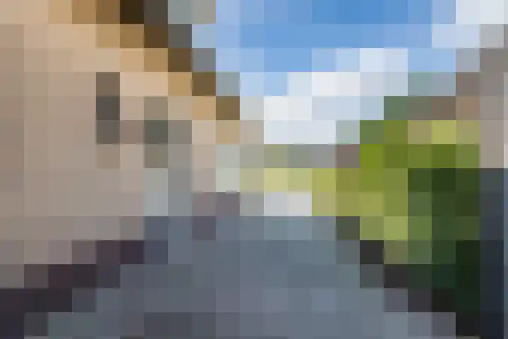Dennenlaan 38 Havelte thumbnail 25