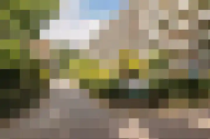 Dennenlaan 408 Ede thumbnail 30