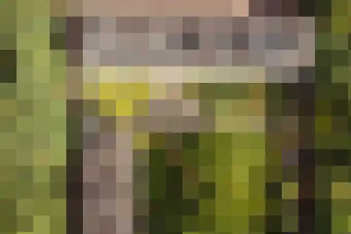 Dennenlaan 408 Ede thumbnail 33