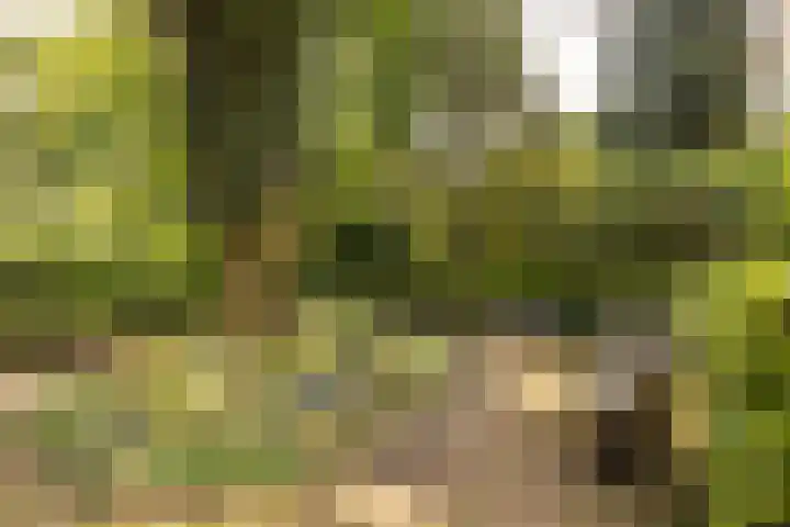 Dennenlaan 408 Ede thumbnail 35