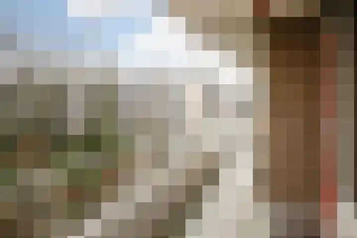 Dennenlaan 418 Ede thumbnail 10