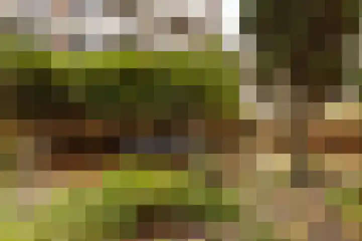 Dennenlaan 418 Ede thumbnail 36