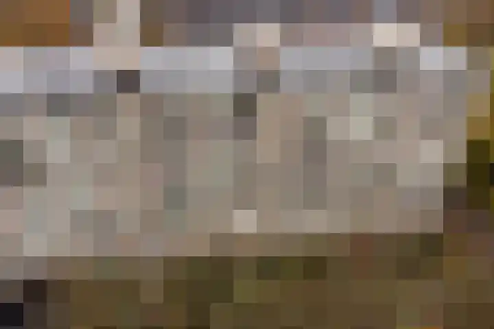 Dennenlaan 418 Ede thumbnail 37