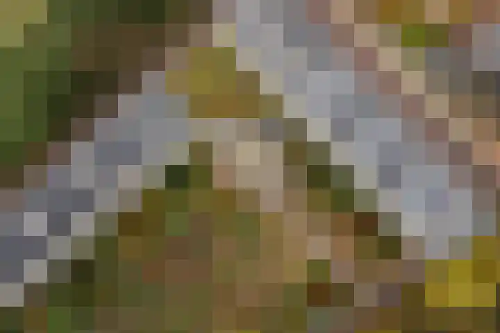 Dennenlaan 418 Ede thumbnail 38