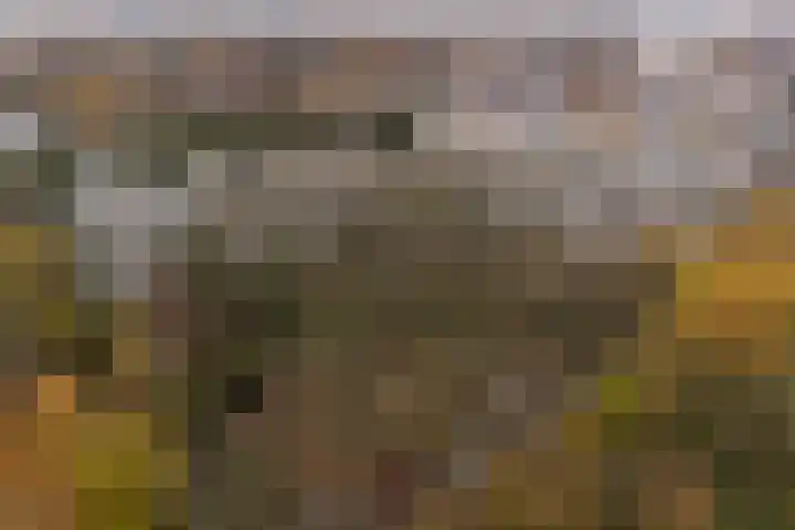 Dennenlaan 418 Ede thumbnail 39