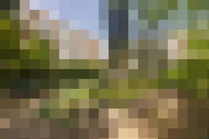 Dennenlaan 418 Ede thumbnail 45