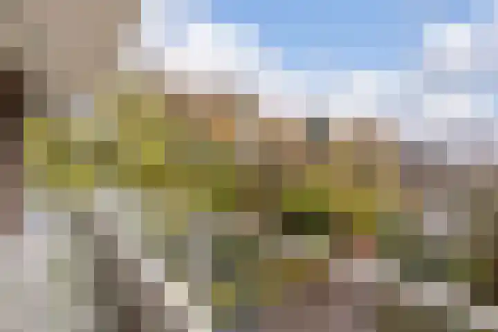 Dennenlaan 418 Ede thumbnail 8
