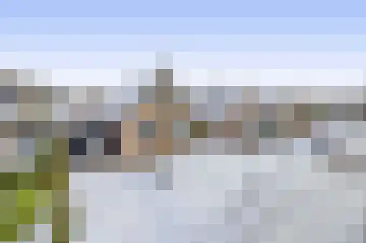 Dennenlaan 44 Havelte thumbnail 33