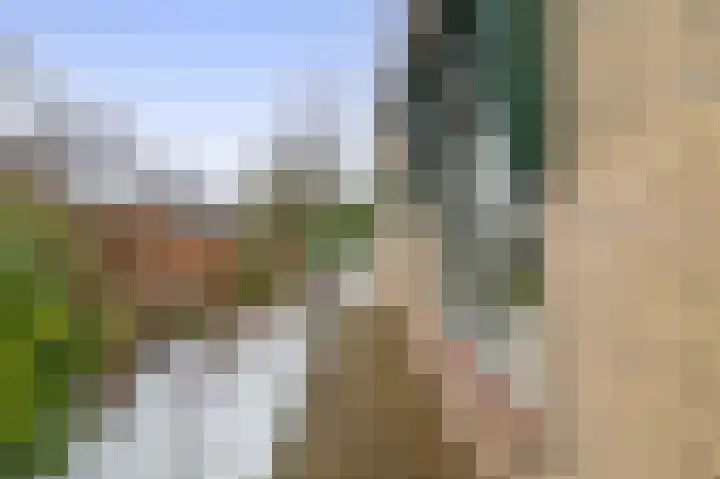 Dennenlaan 44 Havelte thumbnail 36